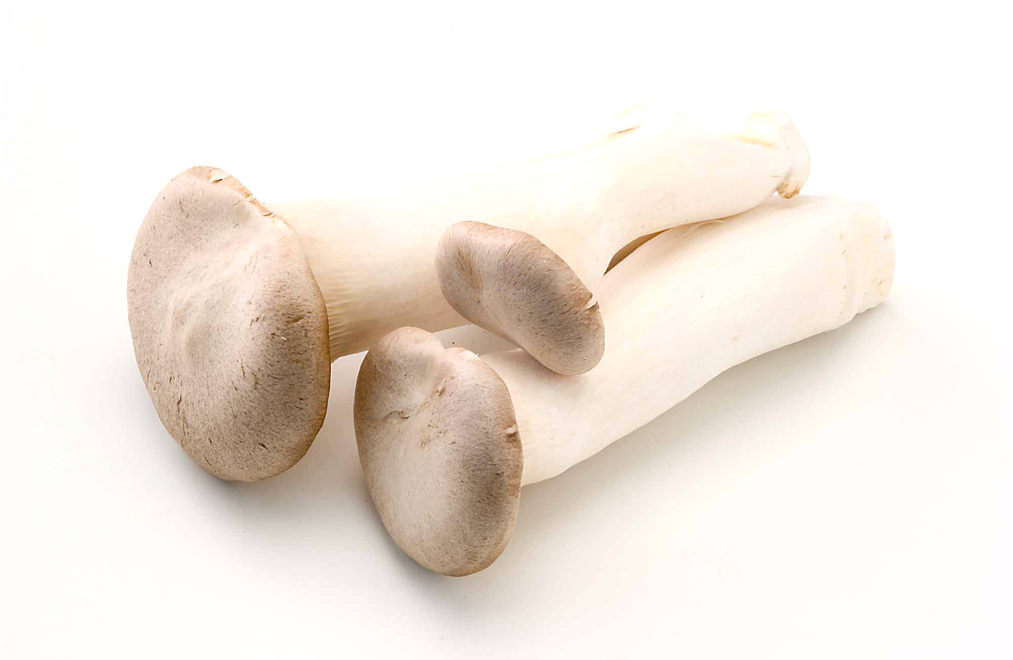 �G�����M