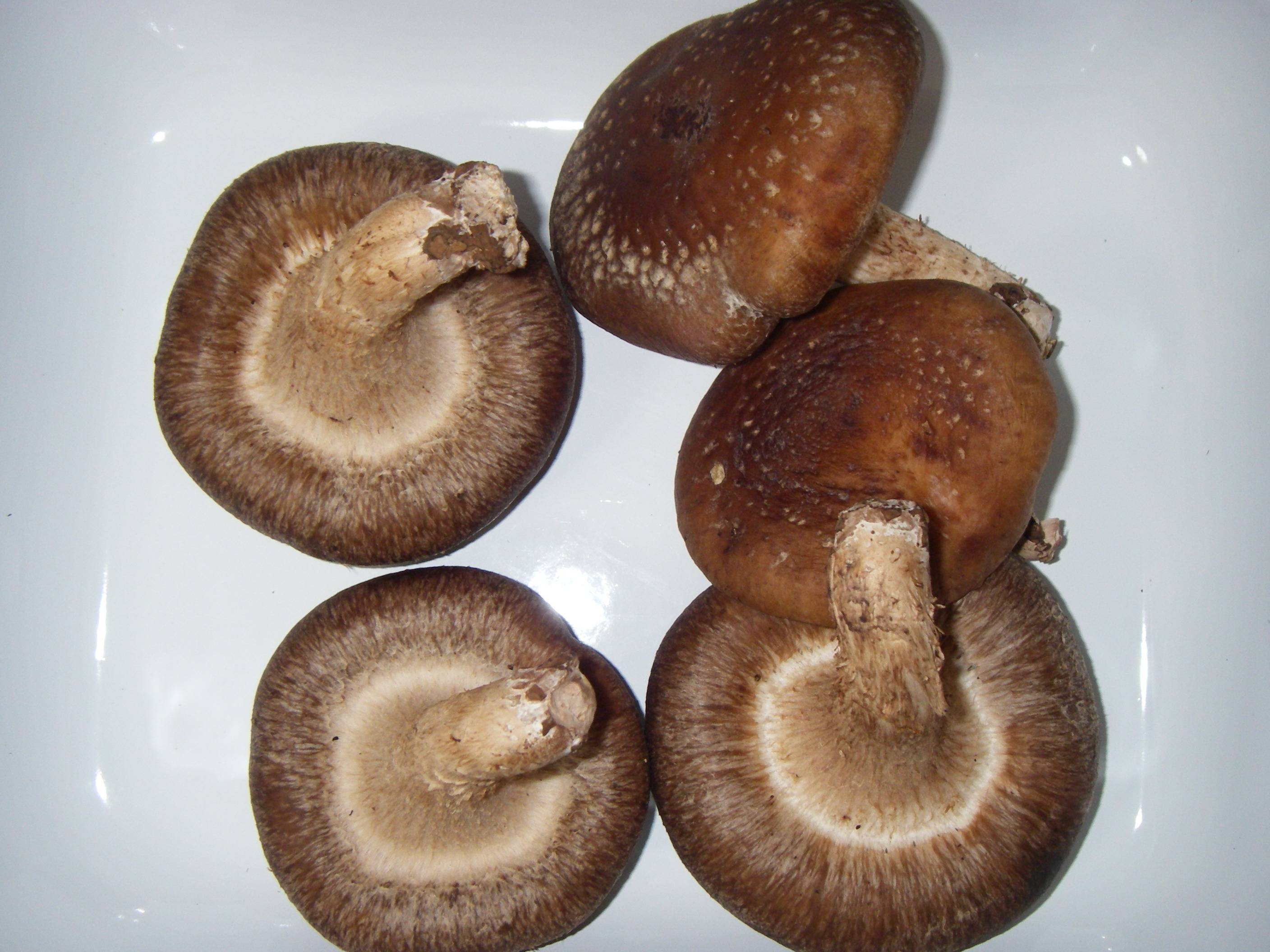 �����ő�(��������)�̍����ƕۑ����@