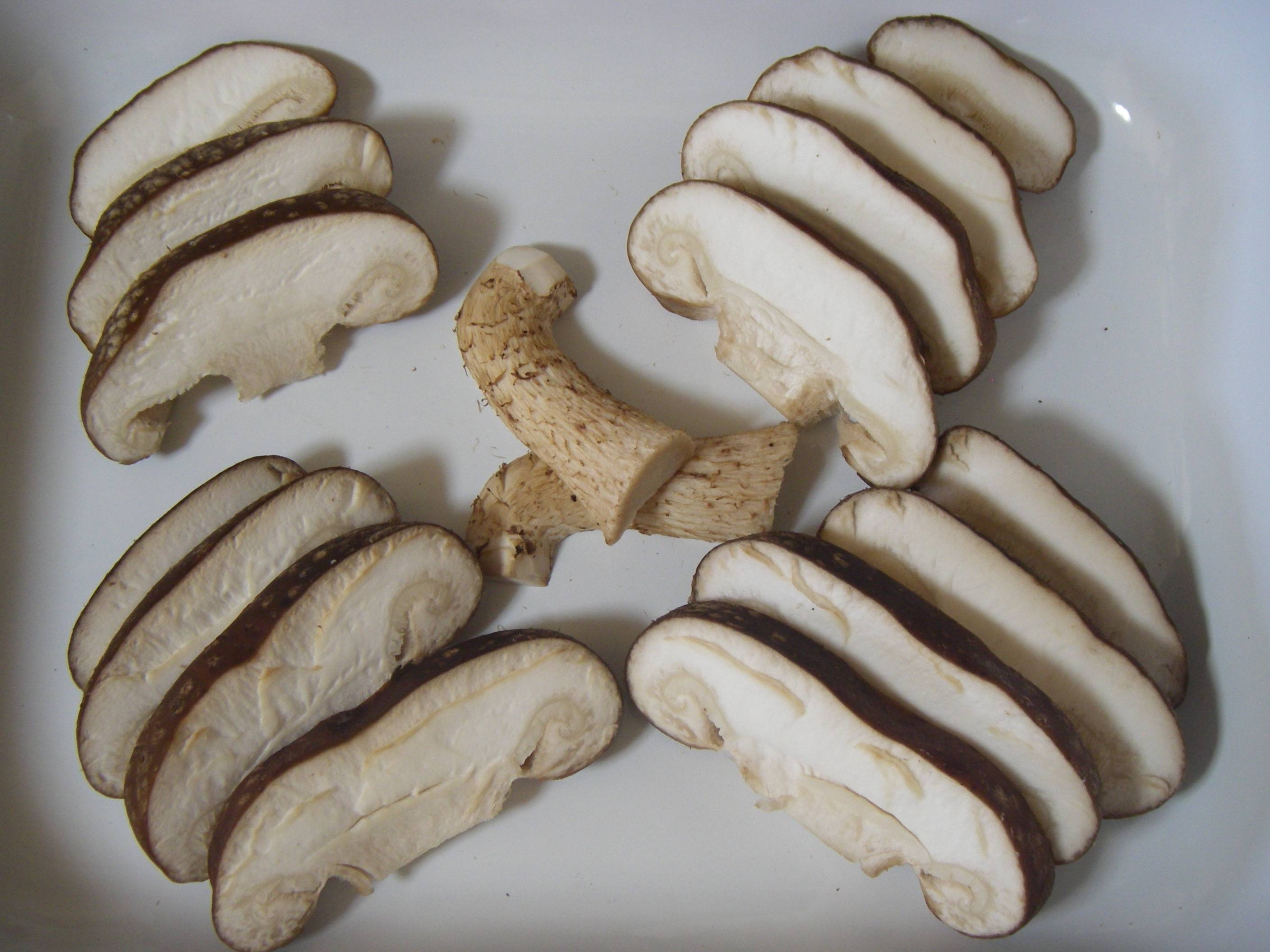 �����ő�(��������)�̍����@�֐؂花���p�̐؂��