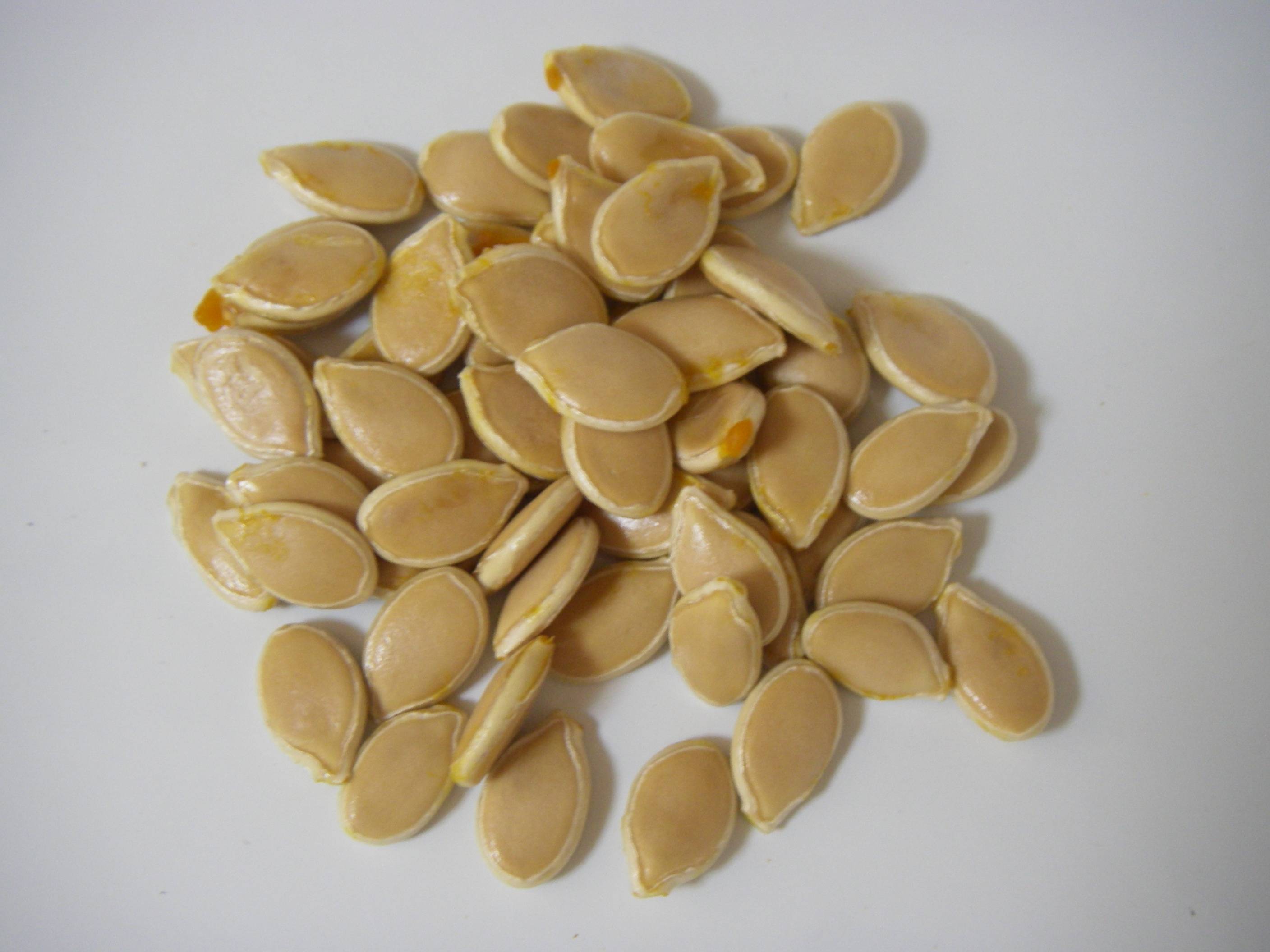 �������ڂ���(��Z)�̍����@���ڂ���̎�̉������炦