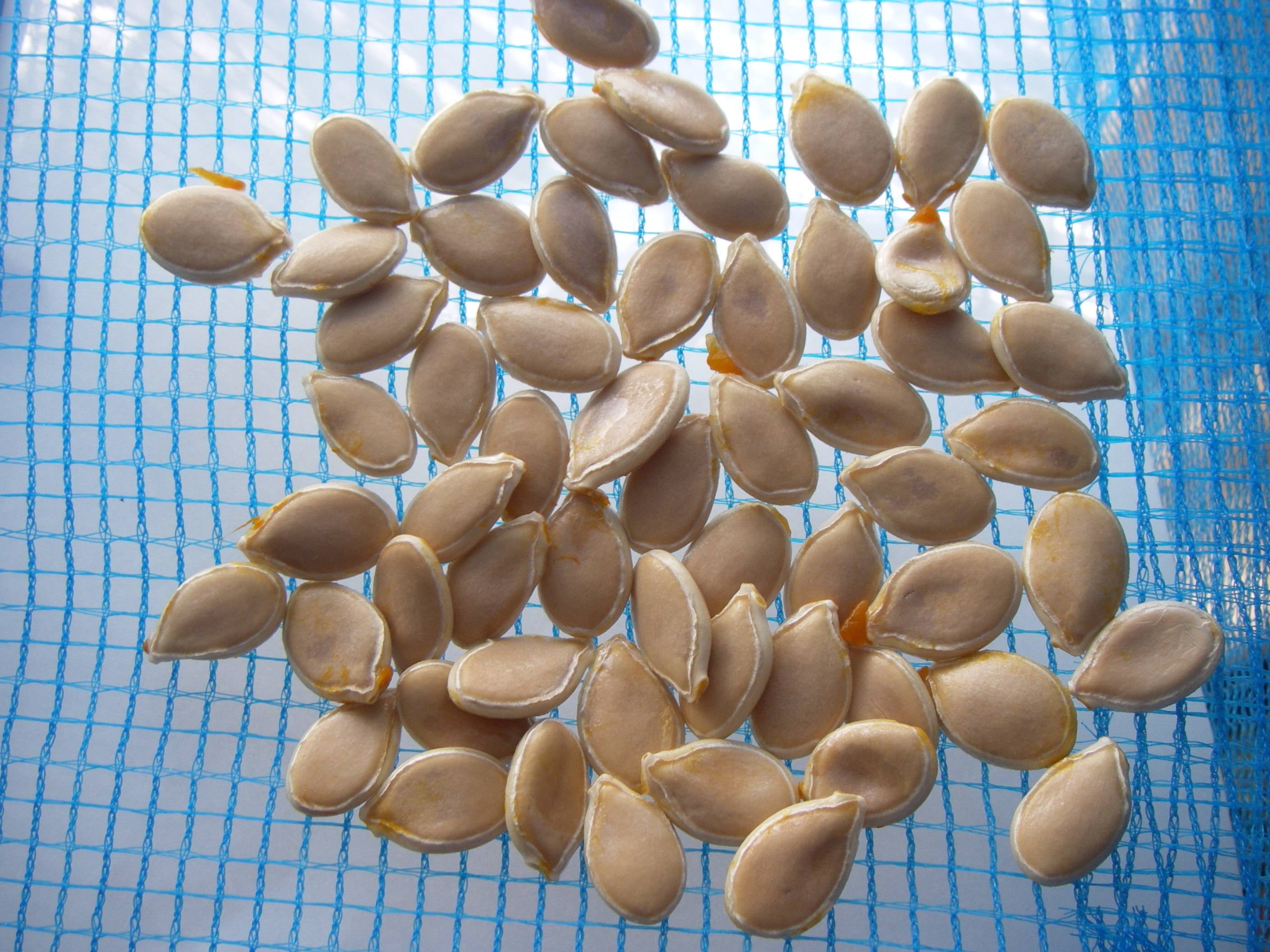 �������ڂ���(��Z)�̍����@���ڂ���̎�̊�����