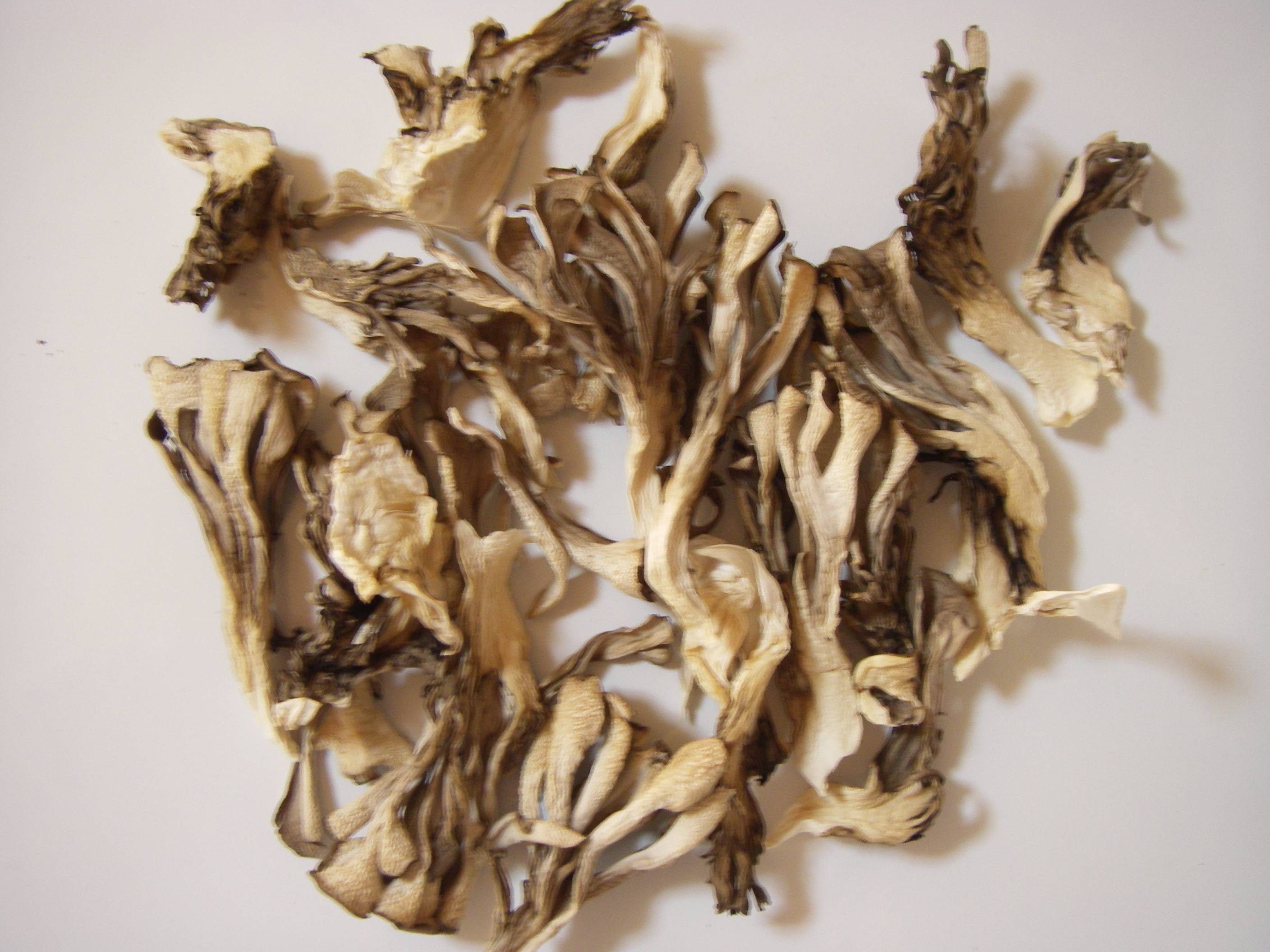 ��������(�܂�����)�̍����ƕۑ����@�@