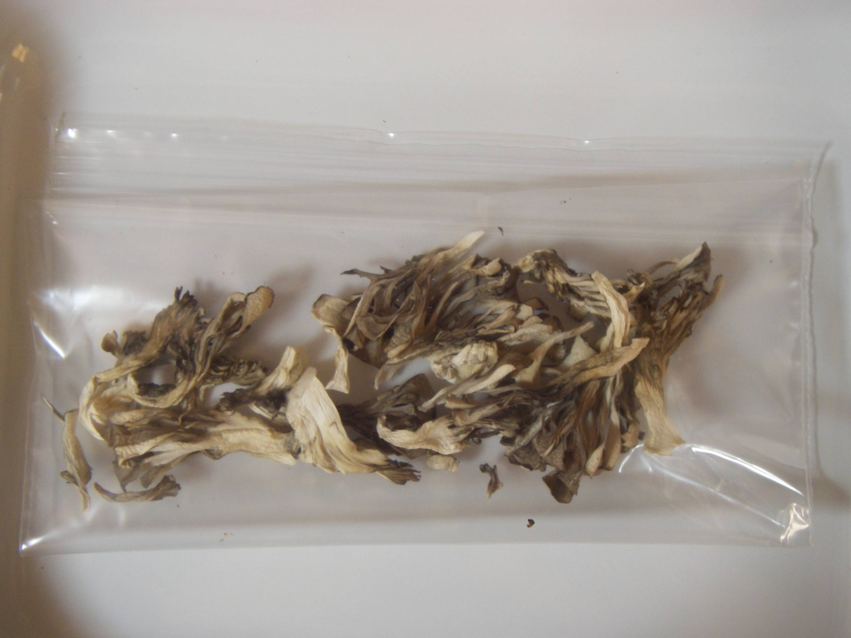 ��������(�܂�����)�̕ۑ����@