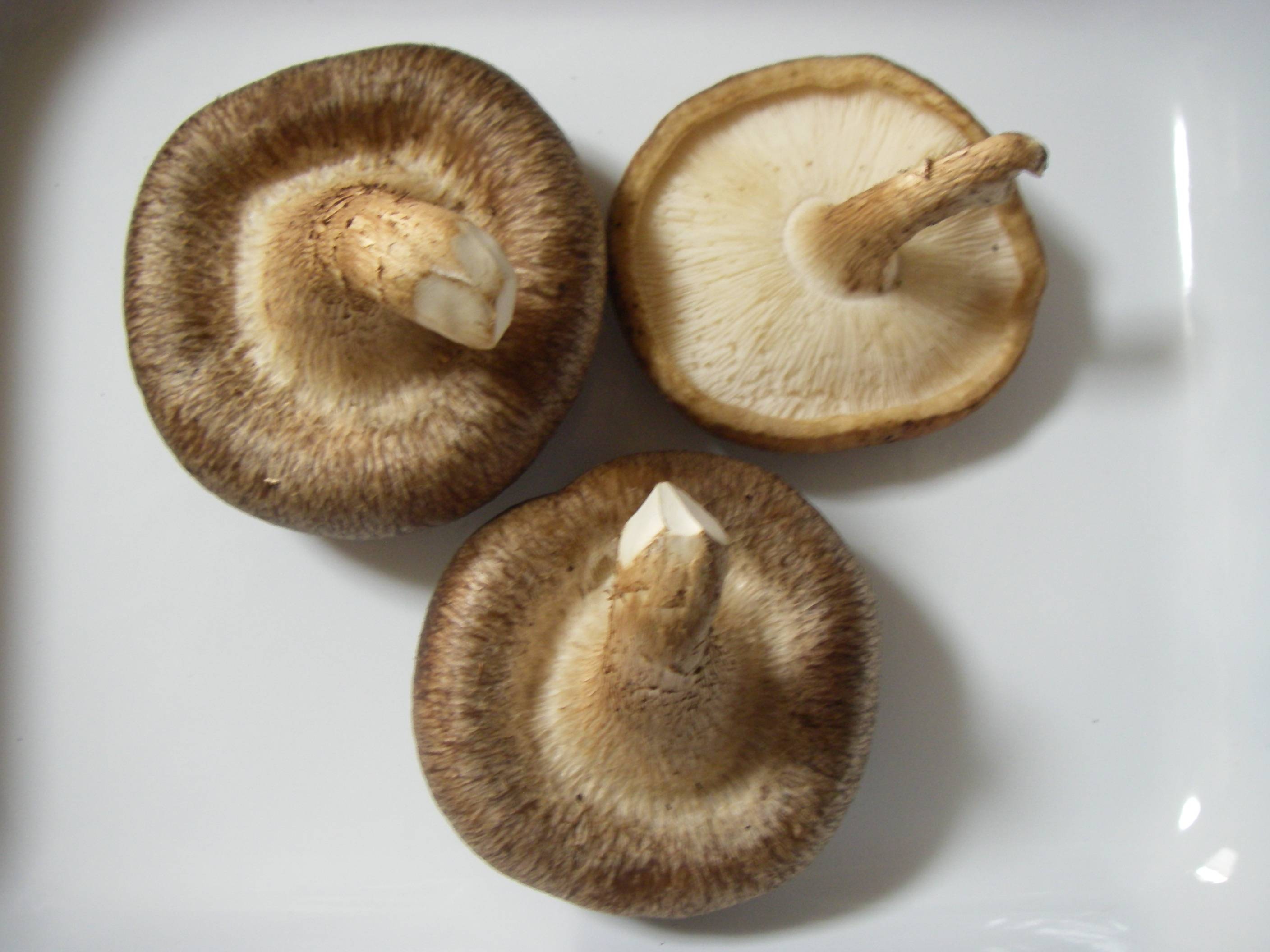 �����ő�(��������)�̍����@�ۊ����Z�~�h���C�̊����C���[�W