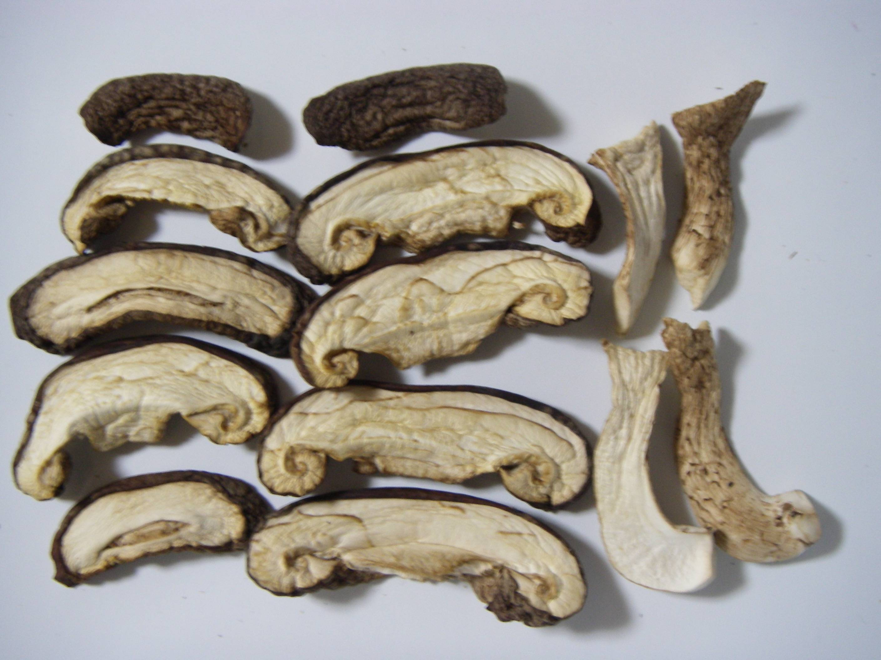 �����ő�(��������)�̍����@�֐؂�t���h���C�̊����C���[�W