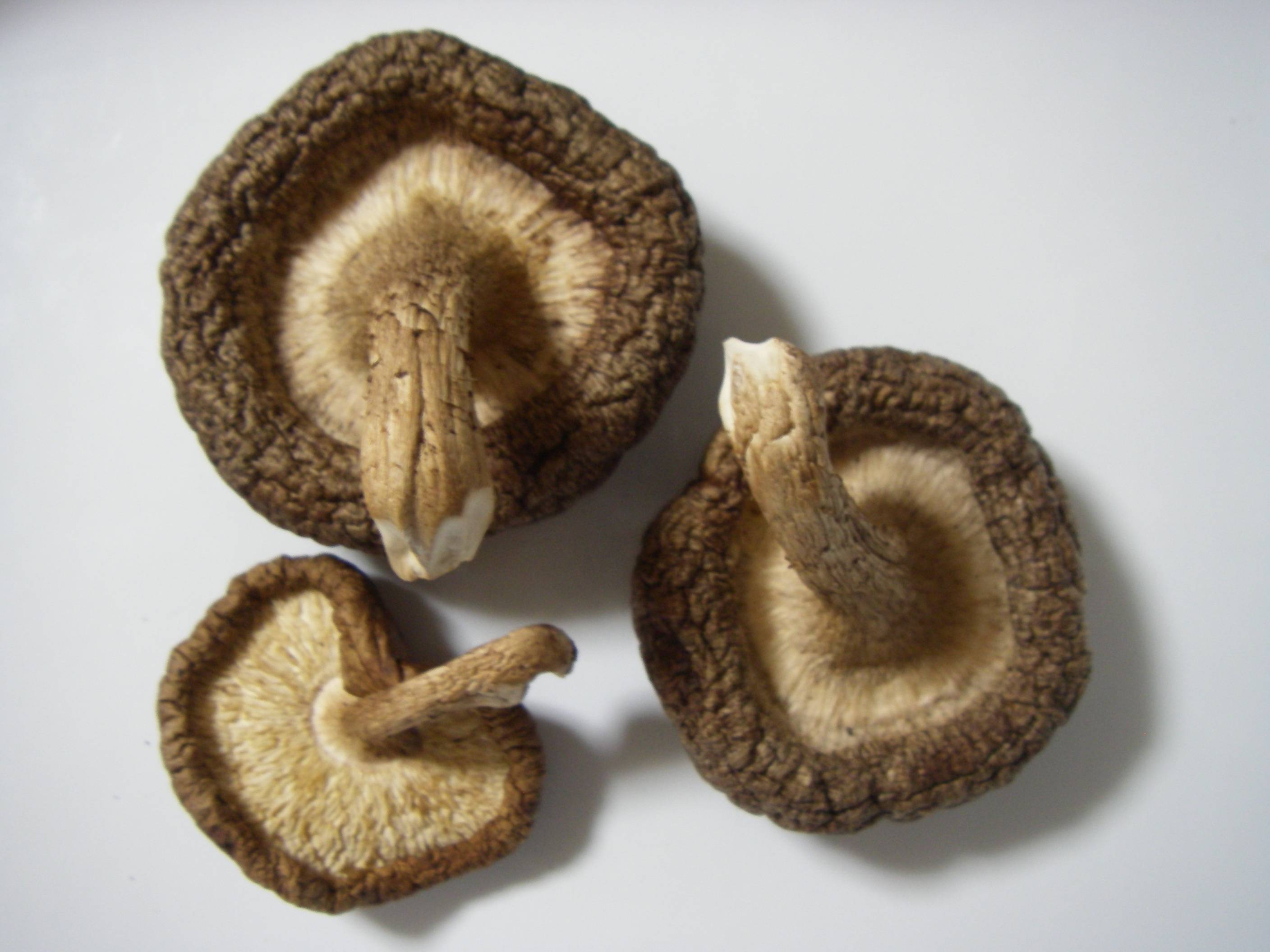 �����ő��̍����ƕۑ����@