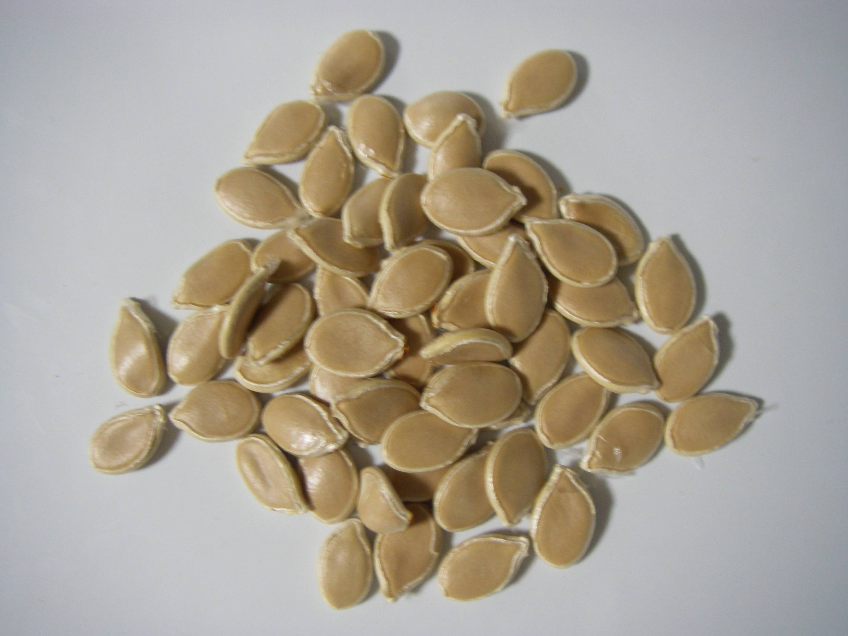 �������ڂ���(��Z)�̍����@�t���h���C�̂��ڂ���̎�(�p���v�L���V�[�h)�����C���[�W