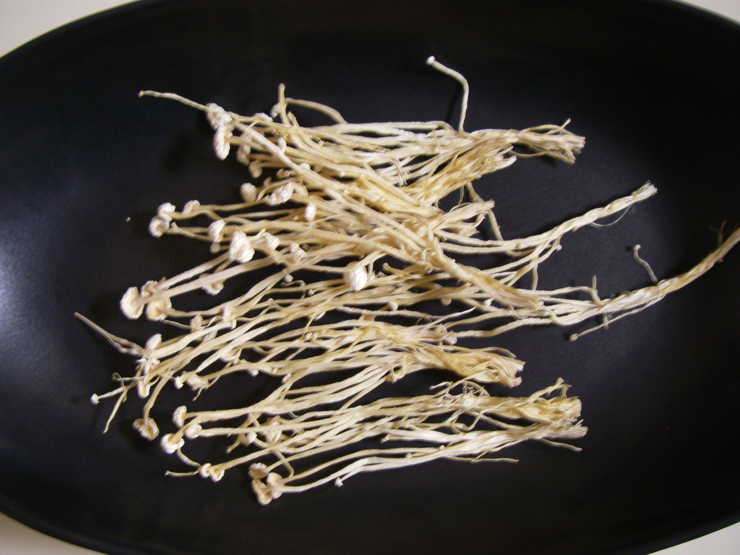 �������̂��̍����@�Z�~�h���C�̊������̂���