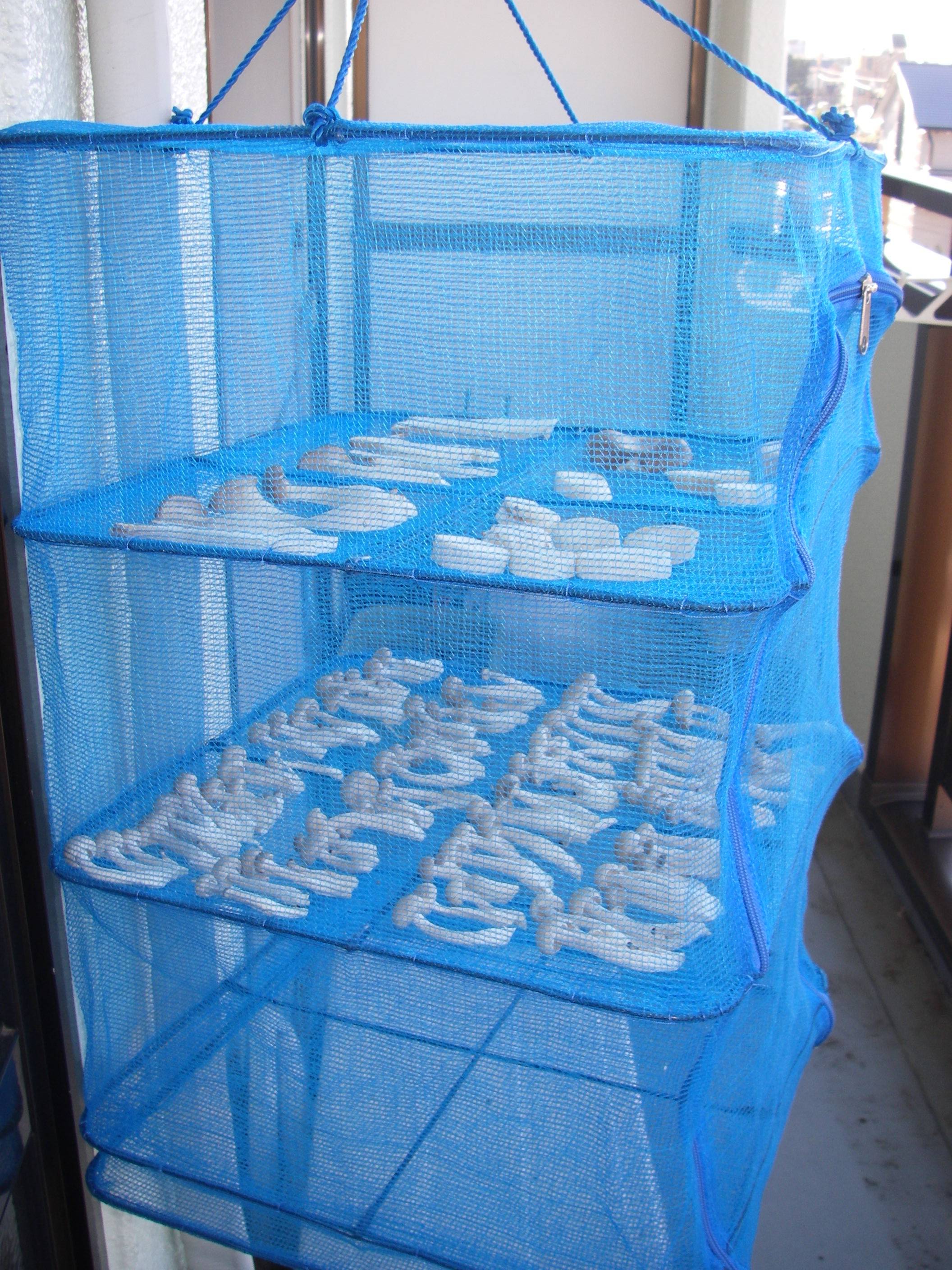 �������߂��̍����@������؃l�b�g�ɓ���ăx�����_�Ɋ����܂��傤