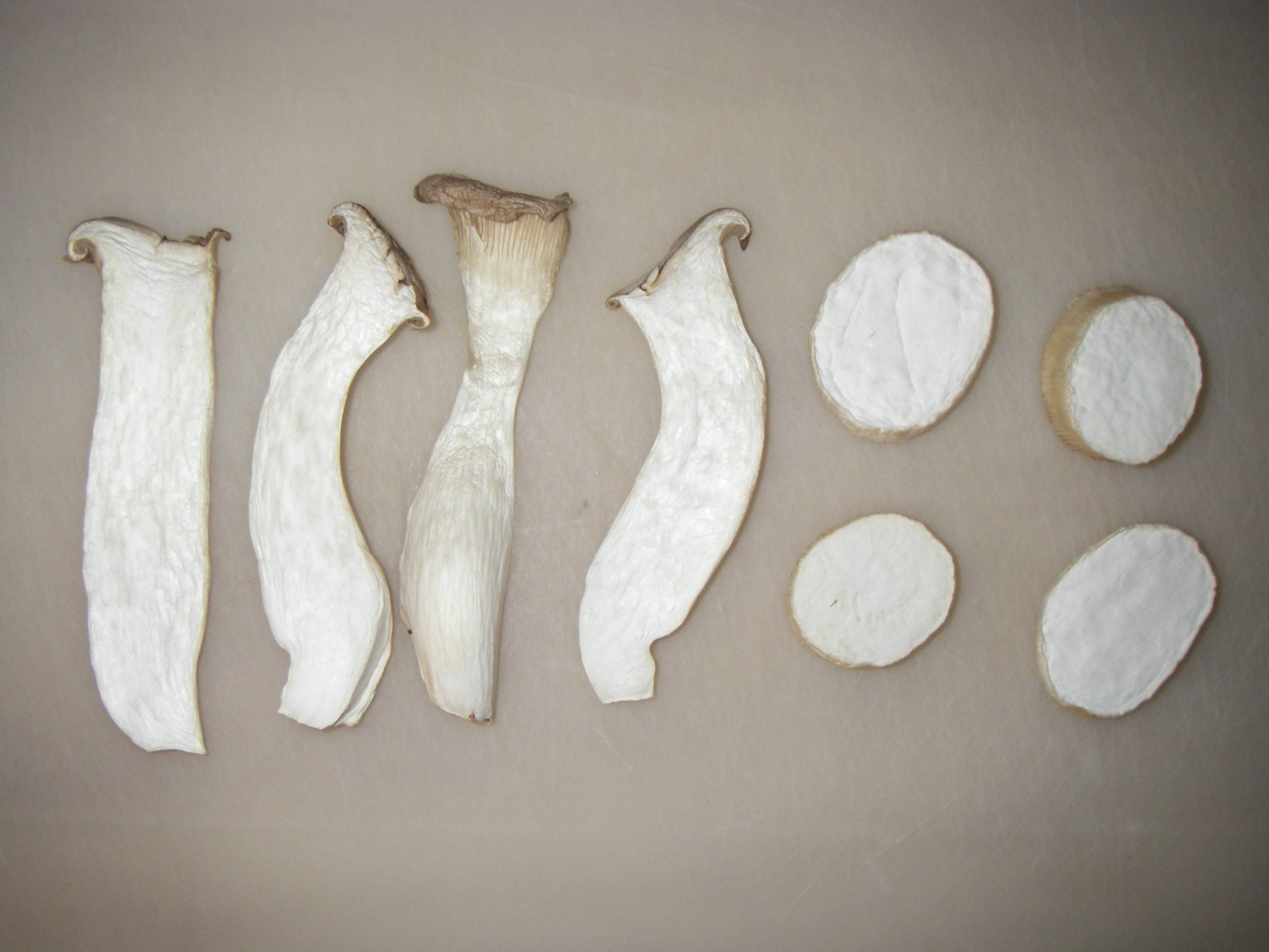 �����G�����M�̍����@�Z�~�h���C�̊����G�����M