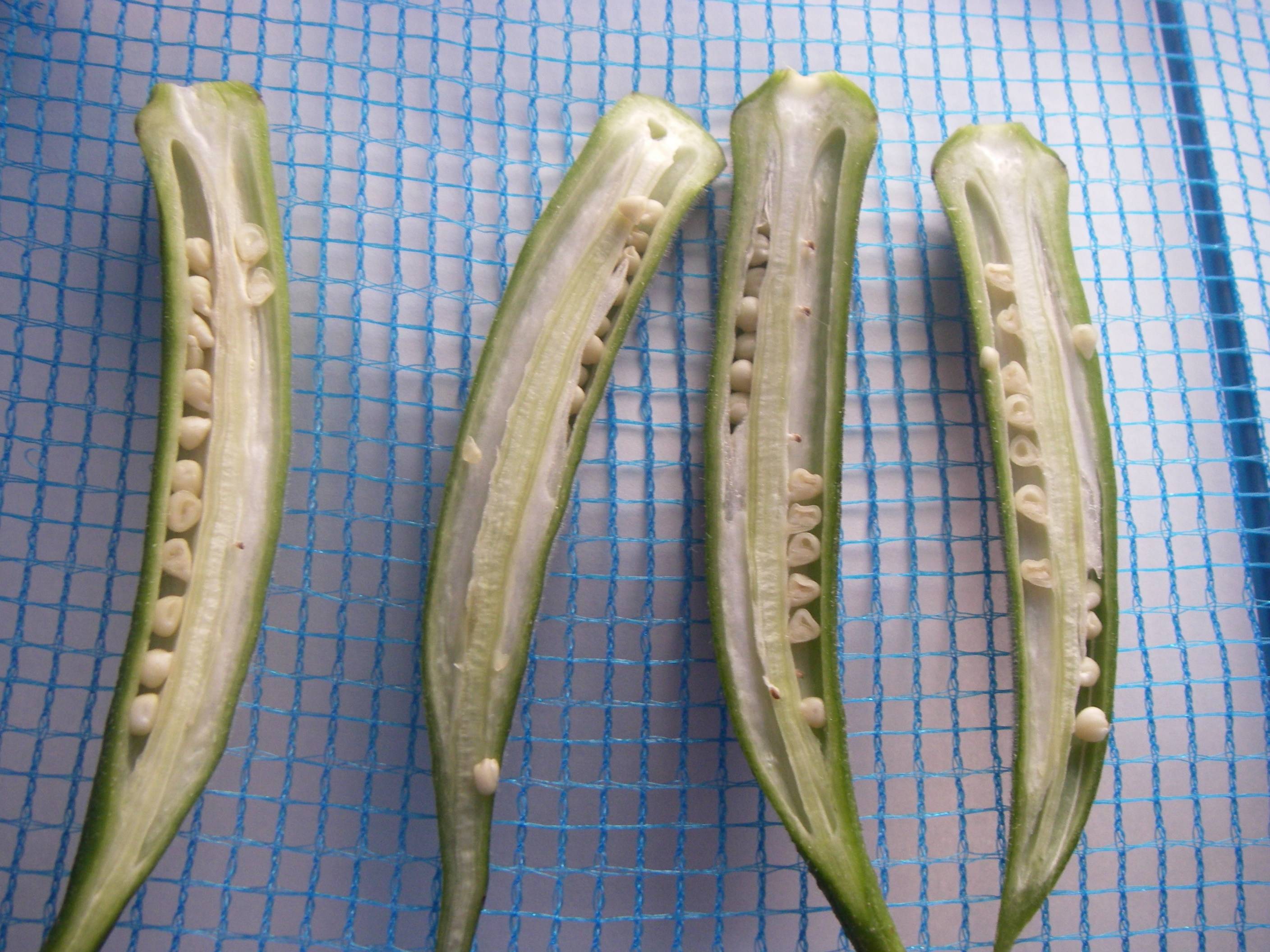 �����I�N���̍����@�I�N���̊�����