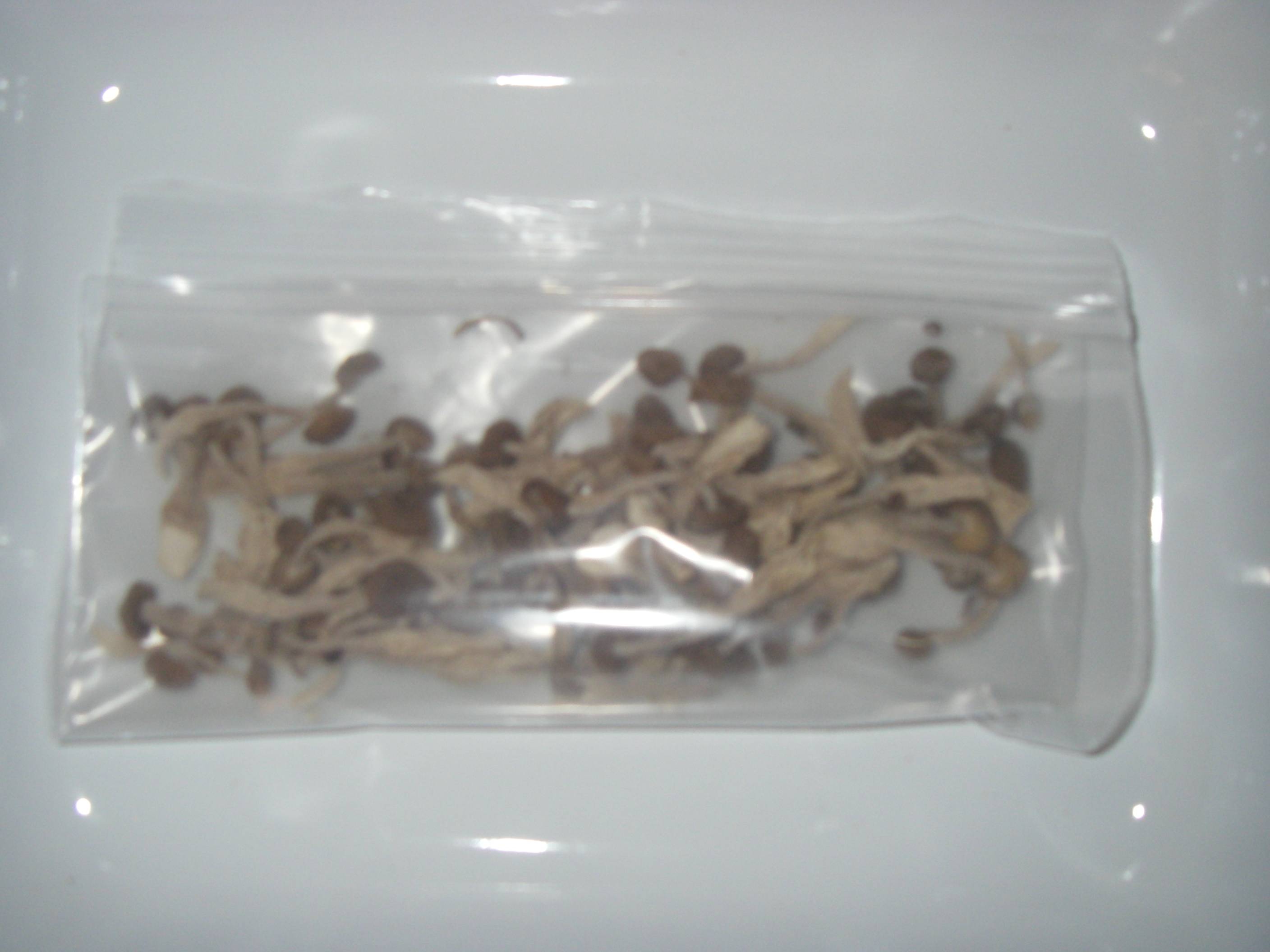 �������߂��̕ۑ����@