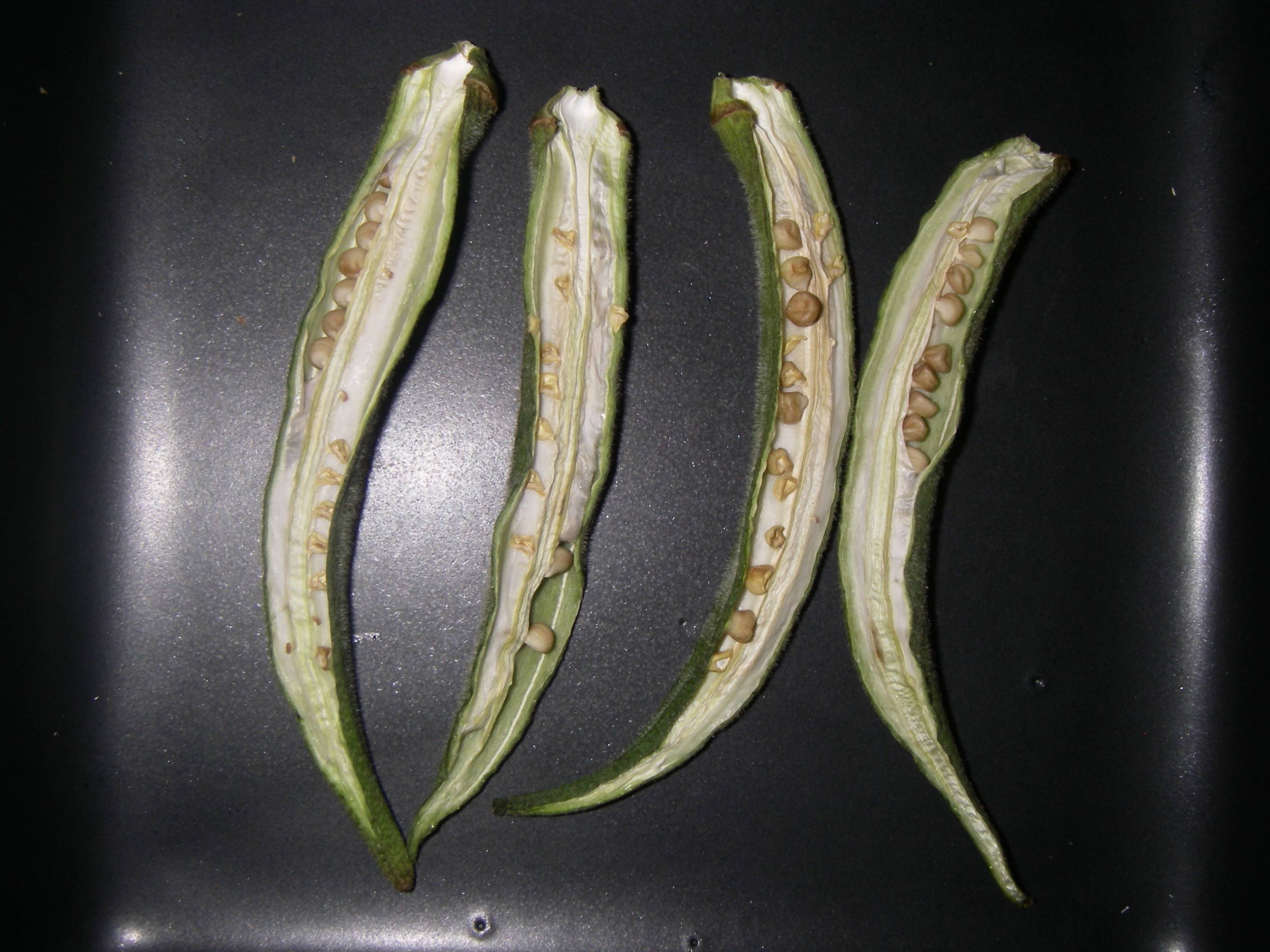 �����I�N���̍����@�Z�~�h���C�̊����C���[�W