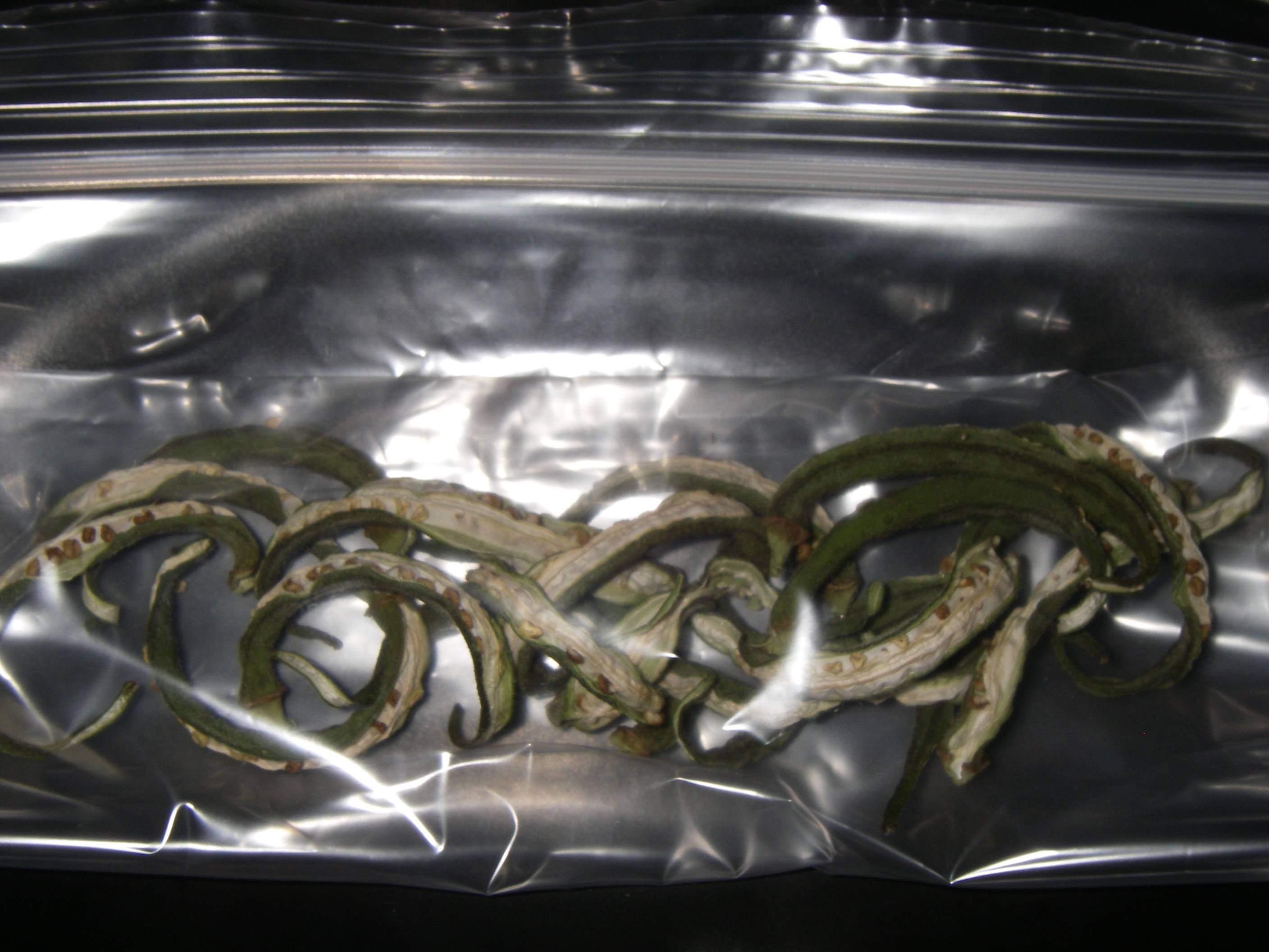 �����I�N���̕ۑ����@