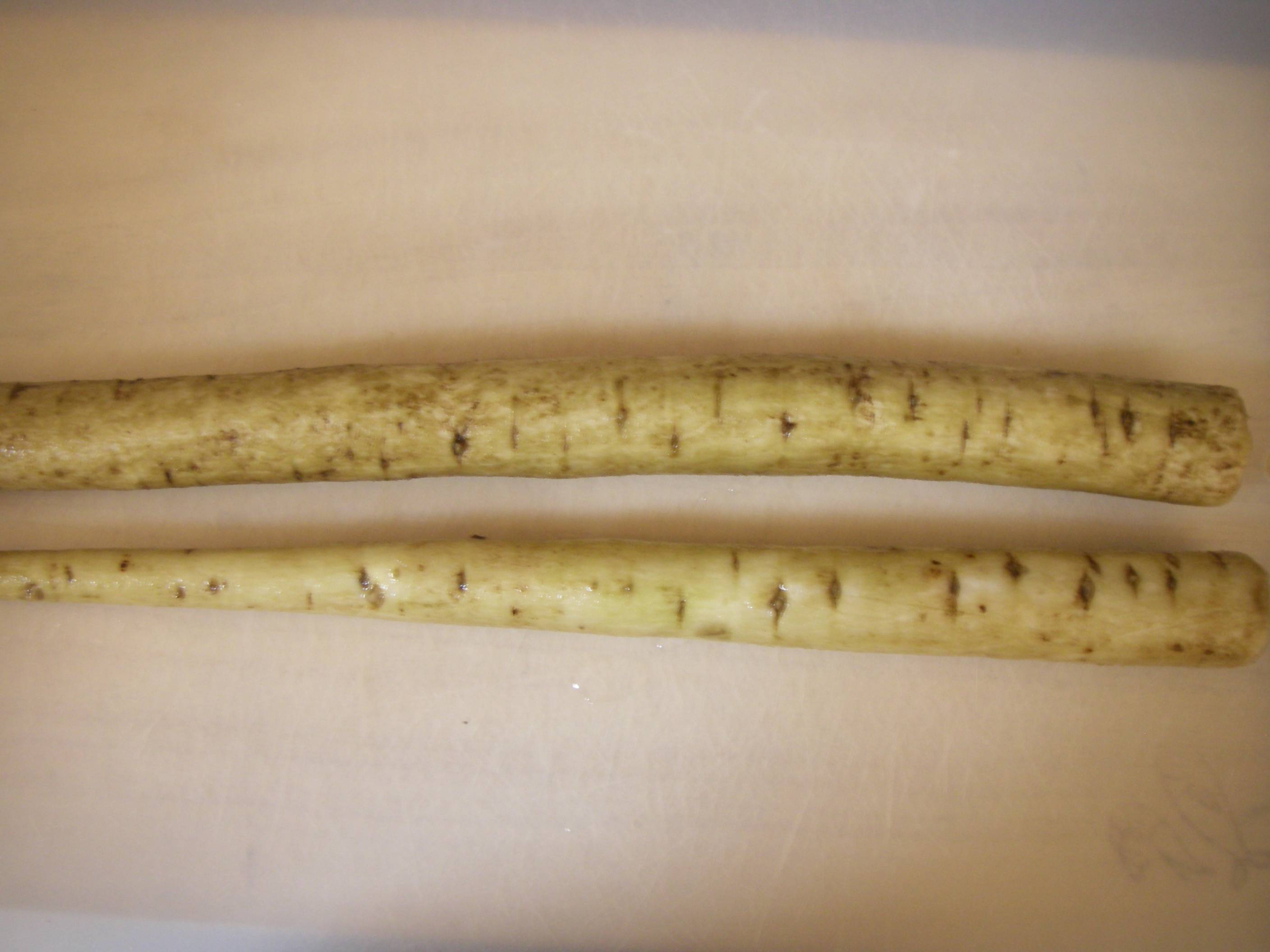 �������ڂ��̍����ƕۑ����@