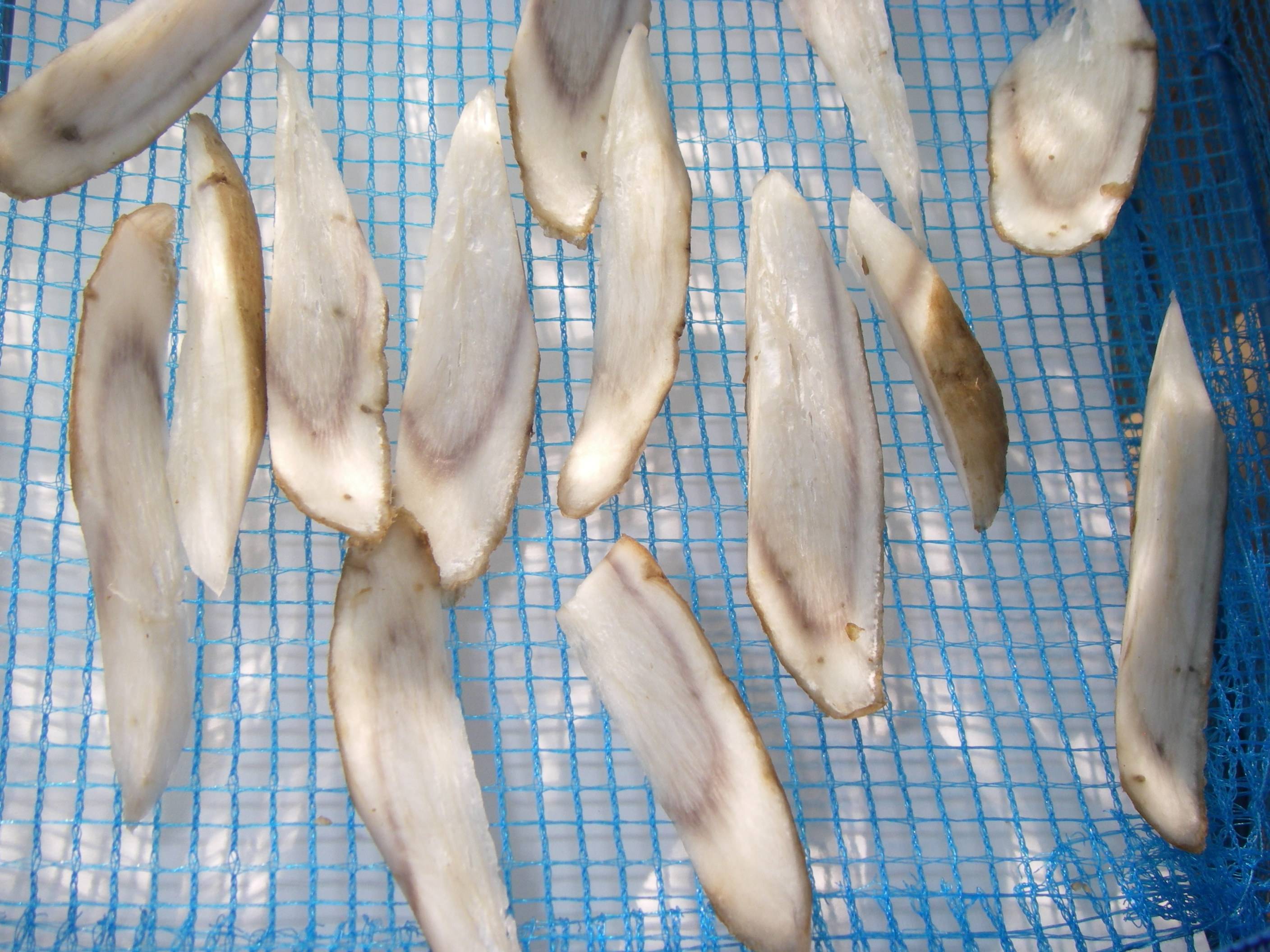 ���ڂ��̊������@���؂�