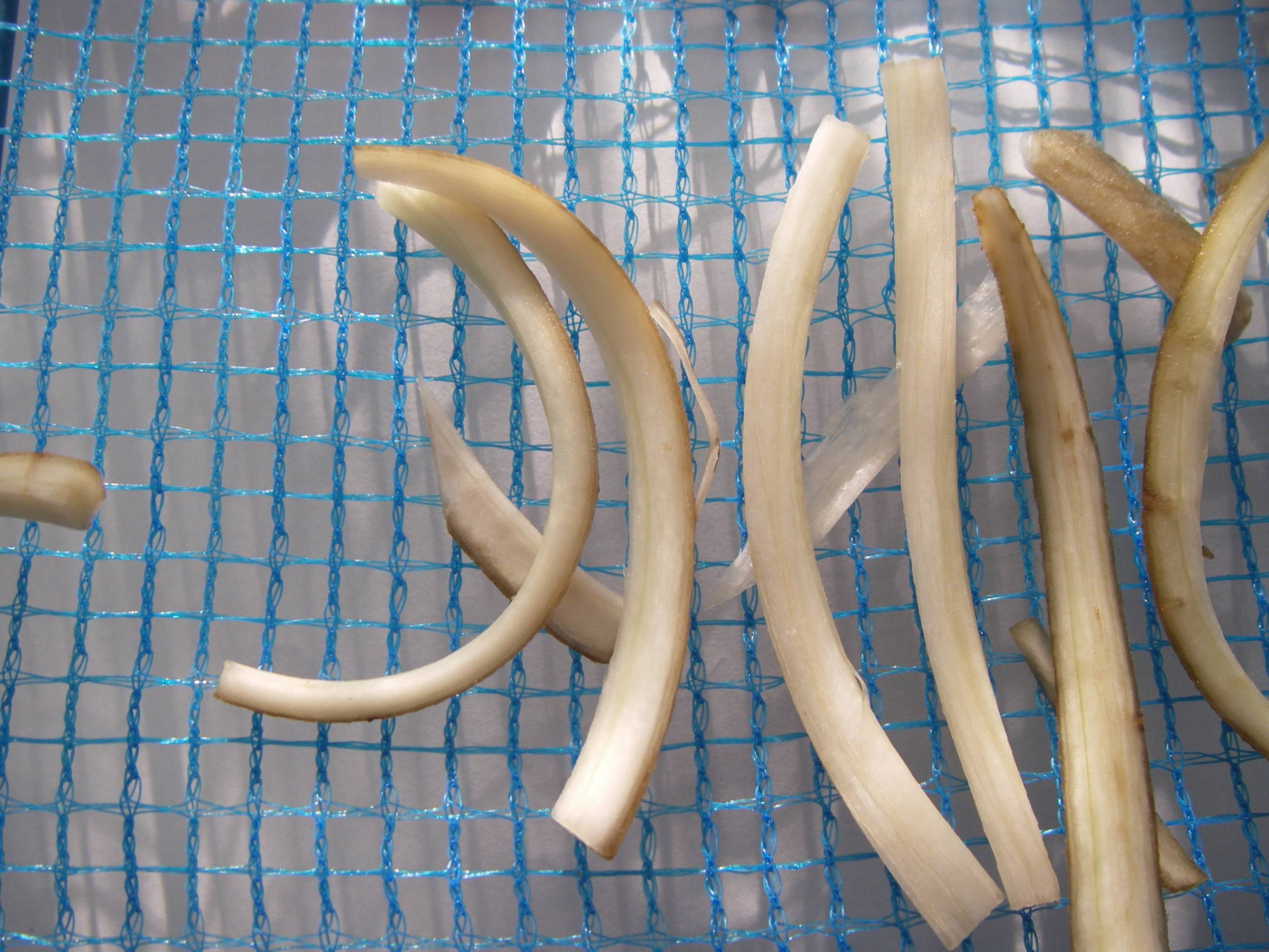 ���ڂ��̊������@�א؂�