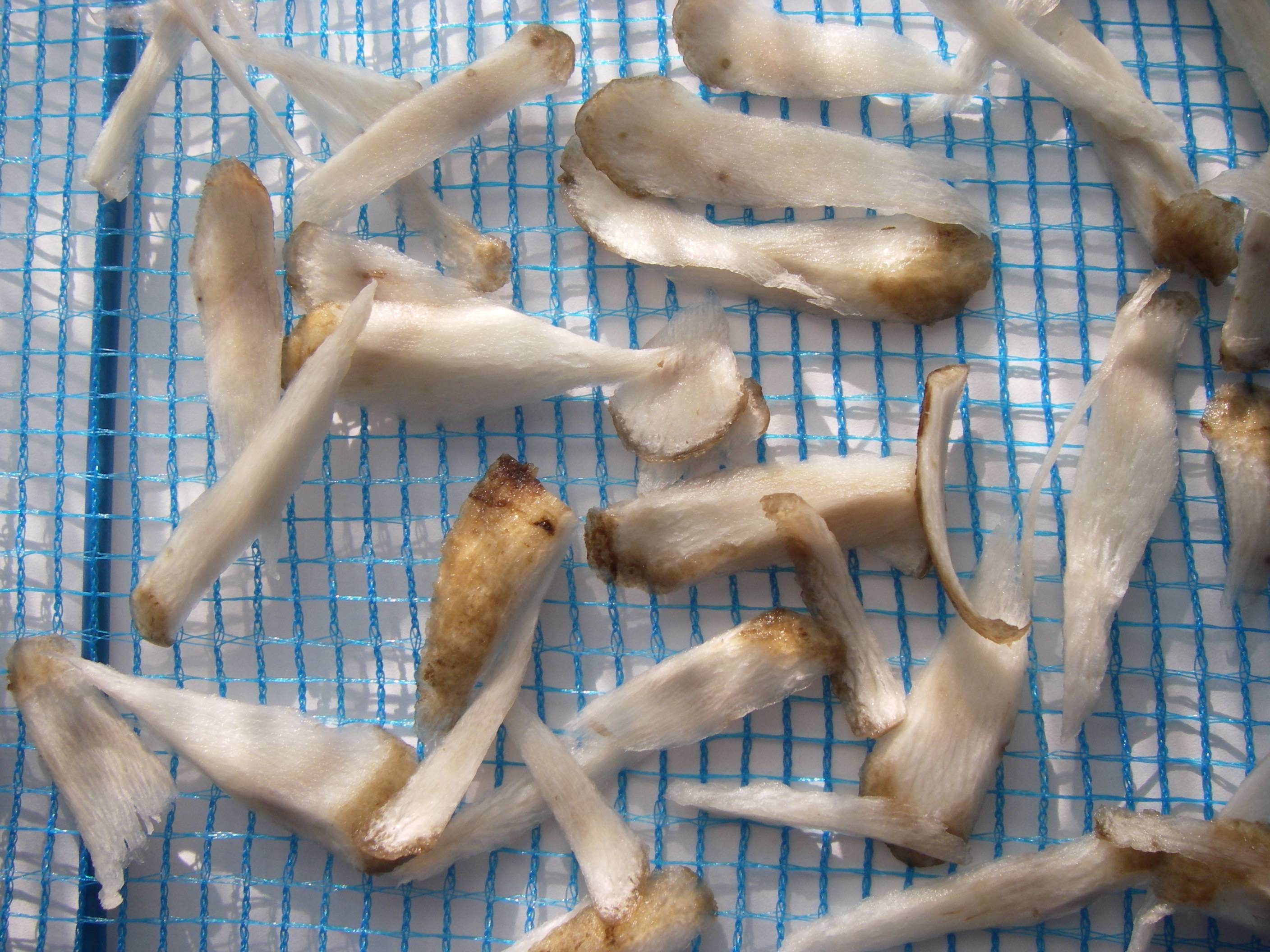 ���ڂ��̊������@��������