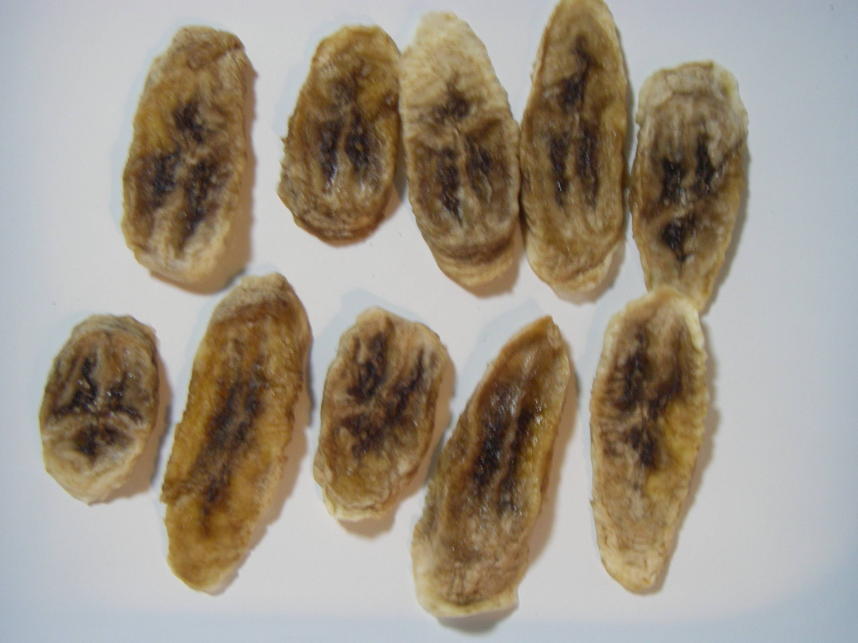 �����o�i�i�̍����@�t���h���C�̊����o�i�i�@�֐؂�