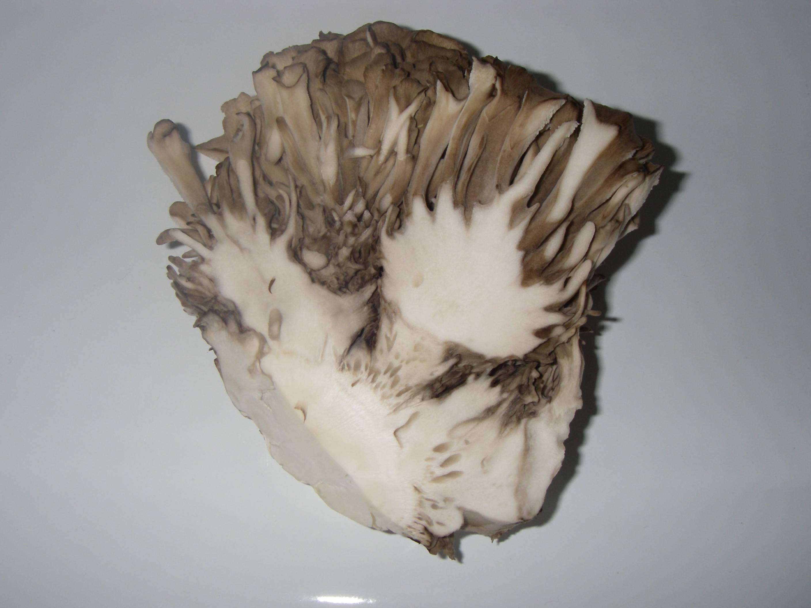 ��������(�܂�����)�̍����ƕۑ����@�@